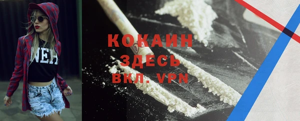 гидра Карталы