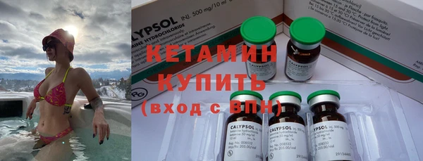 крисы Лагань