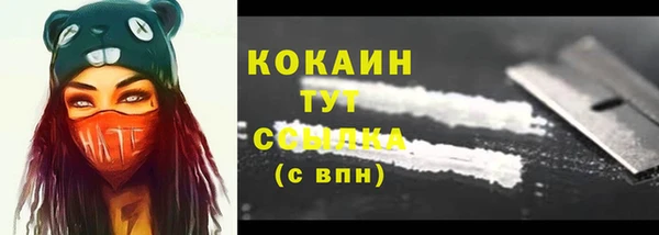 спиды Кукмор