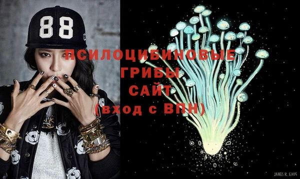 спиды Кукмор