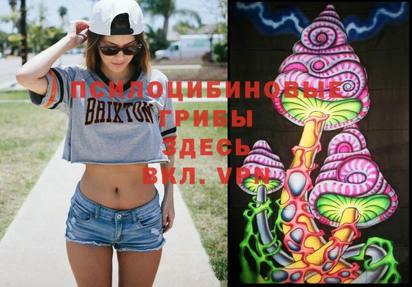 mix Лабытнанги