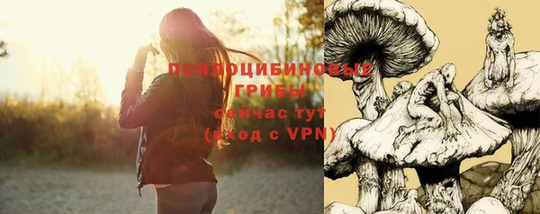 ALPHA PVP Ладушкин