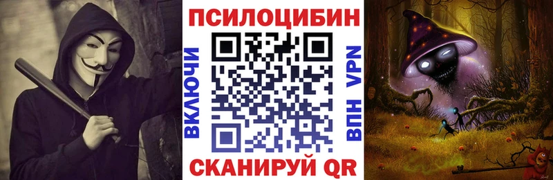 Галлюциногенные грибы Psilocybine cubensis  закладки  Балахна 