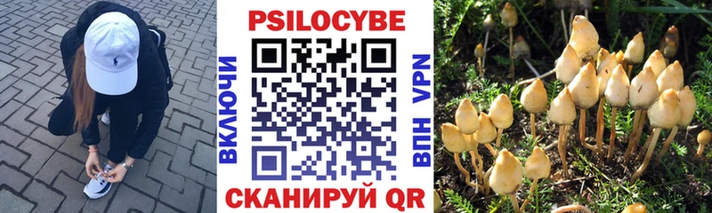 Галлюциногенные грибы GOLDEN TEACHER mega ссылки Балахна наркошоп