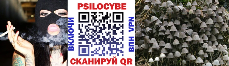Псилоцибиновые грибы мухоморы Балахна
