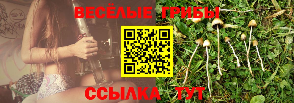 Балахна  Галлюциногенные грибы Cubensis  Вход с VPN 