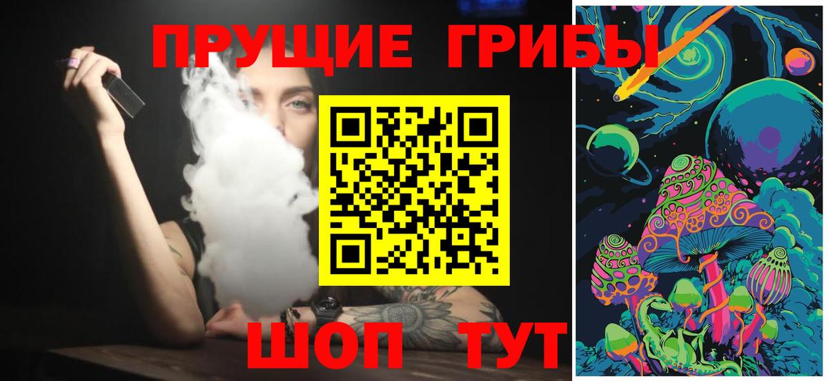 Псилоцибиновые грибы Cubensis Балахна